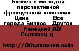 Бизнес в молодой перспективной французской компании › Цена ­ 30 000 - Все города Бизнес » Другое   . Ненецкий АО,Пылемец д.